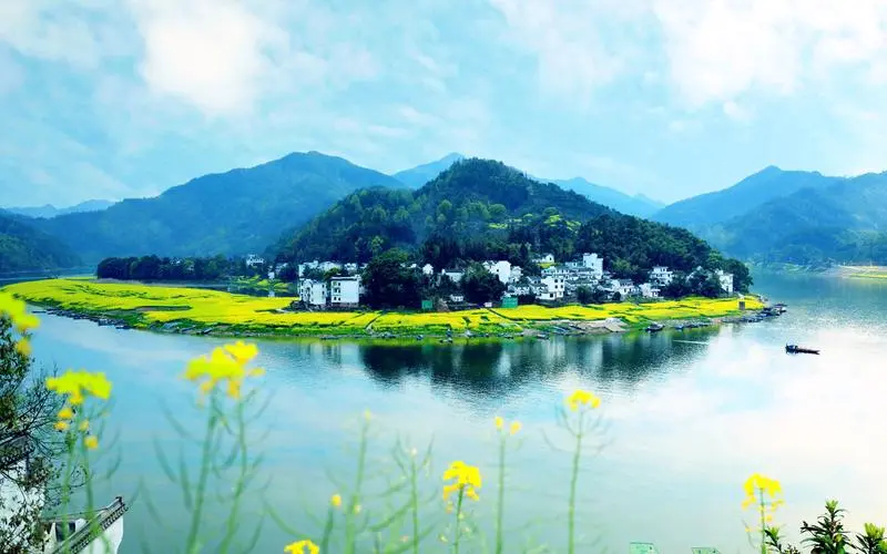 稳定性高效